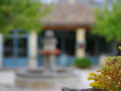 plante grasse et fontaine de chantemerle en arrière plan