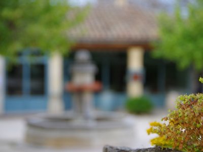 plante grasse et fontaine de chantemerle en arrière plan