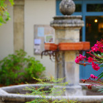 Fontaine place barbier à Chantemerle Les Grignan avec des fleurs en premier plan