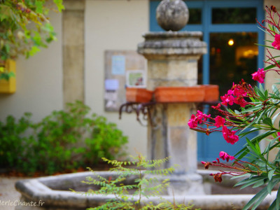 Fontaine place barbier à Chantemerle Les Grignan avec des fleurs en premier plan