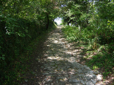 Reste de Voie à la Calade de Chantemerle Les Grignan