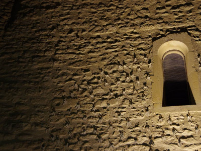 Façade de la chapelle de Chantemerle les Grignan