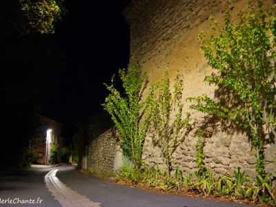 rose trémière sur la rue principale à chantemerle-lès-grignan, prise de vue de nuit