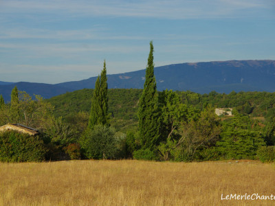 paysages-depuis-chantemerle-les-grignan