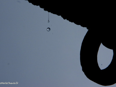 Gouttes d'eau sous la pluie à Chantemerle Les Grignan
