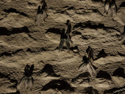 Oeuvre d'art sur le mur de la chapelle de Chantemerle Les Grignan