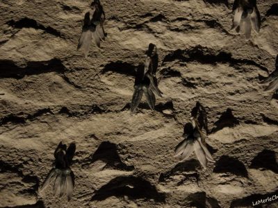Oeuvre d'art sur le mur de la chapelle de Chantemerle Les Grignan