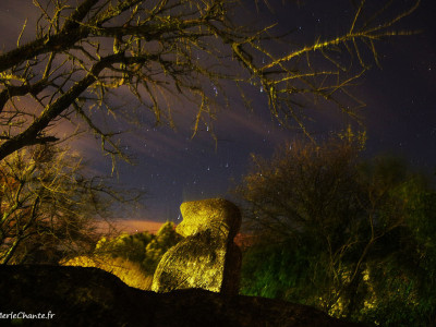 Le Merle de Chantemerle Les Grignan regardant les étoiles