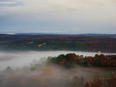 Champs à Chantemerle Les Grignan dans la brume